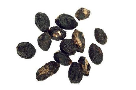পালমা সেরিন